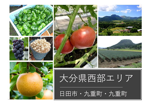 西部エリア（日田市・九重町・玖珠町）