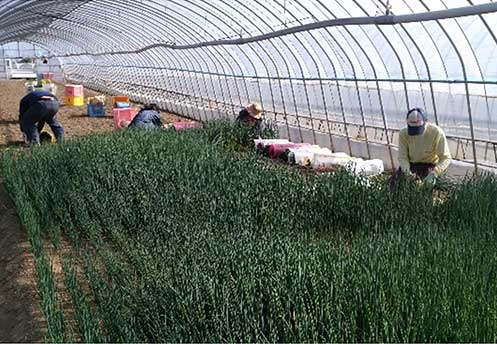 国東市ファーマーズスクール